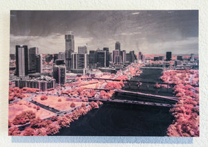 Austin in Pink on wood 12" x 18"