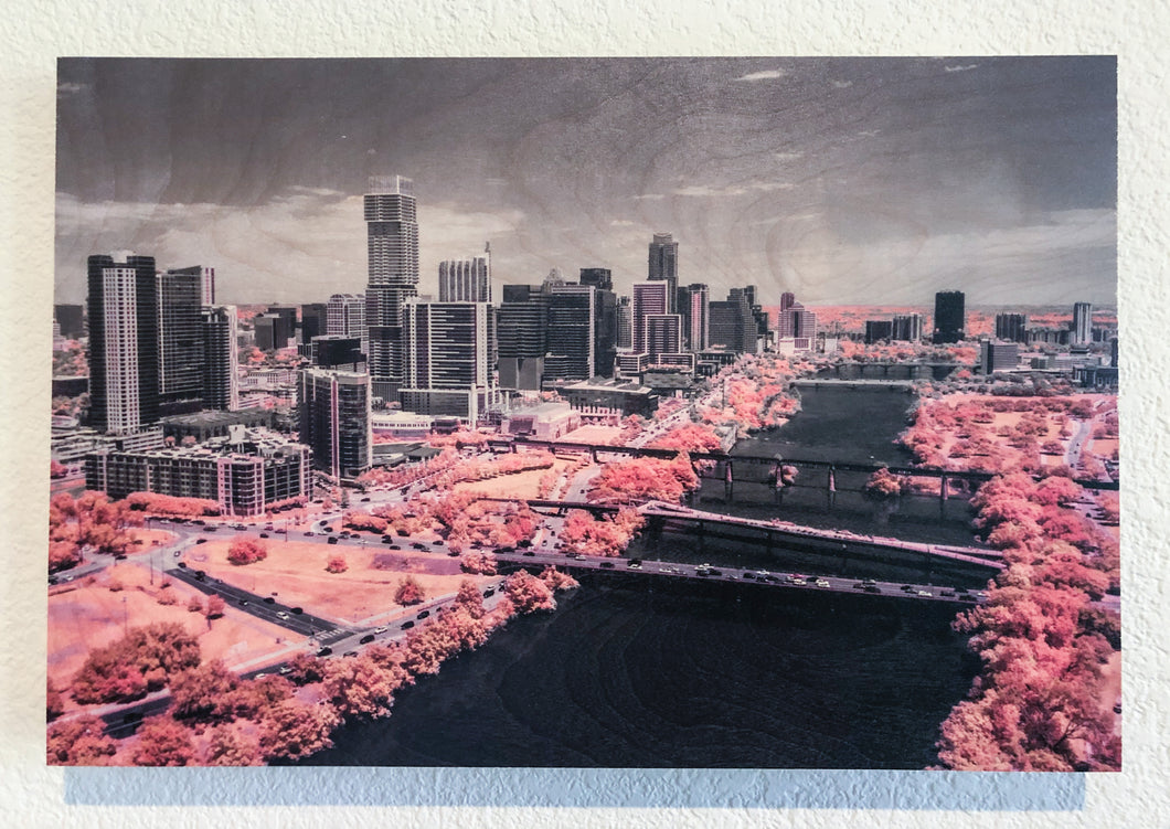 Austin in Pink on wood 12