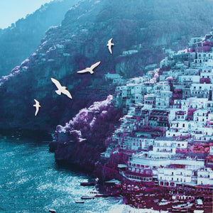 Birds over Positano